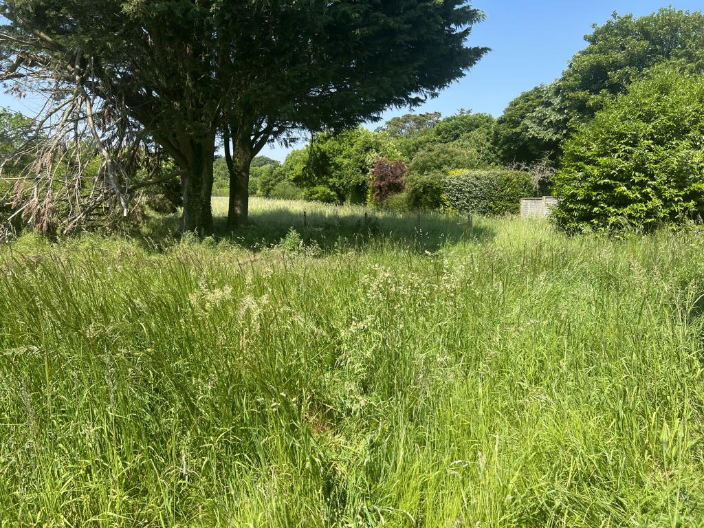 Lot: 143 - WATER-DAMAGED DETACHED PROPERTY FOR REFURBISHMENT - General view of rear garden